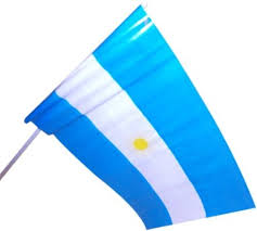 BANDERA PLASTICAS C/PALO 40cm.x60cm. SIN SOL