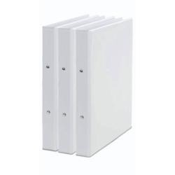 CARPETA INSTITUC. A4 RED.2.A*60 (45/2/6B)