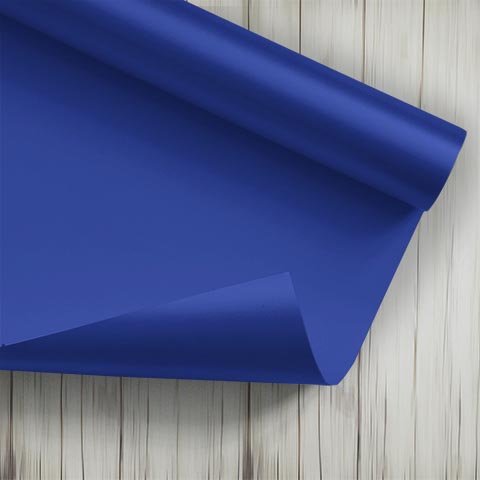 CARTULINA PLIEGO ESCOLAR AZUL