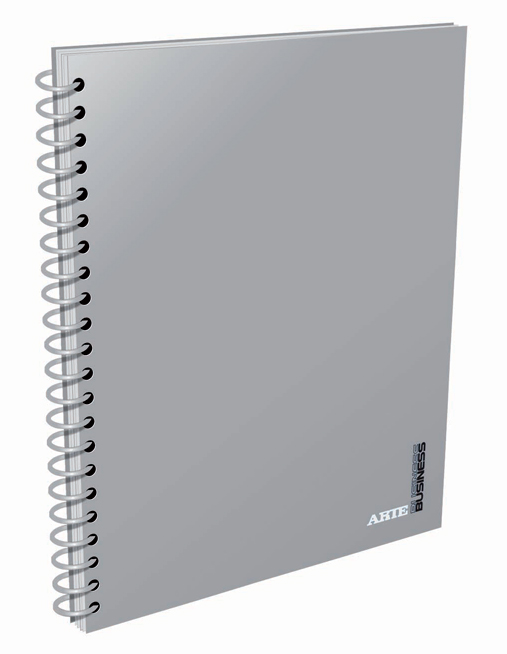 CUAD.C/E.ARTE BUSINESS A4.29 80H.#