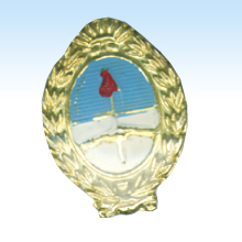 ESCARAPELA PIN METAL ESCUDO NACIONAL