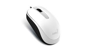 MOUSE GENIUS DX-120 USB BLANCO