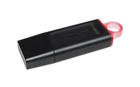 PEN DRIVE KINGSTON 3.1 DTX - 256 GB.