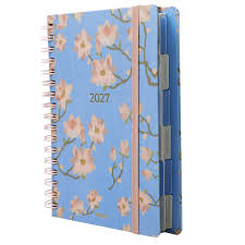 AGENDA 2027 MOOVING 16.5x22 ESP DxP CEREZO