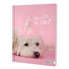RACHAEL HALE CUADERNO.T.DURA COSIDO 16x21 48H.=